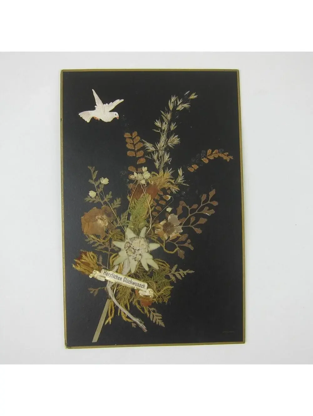 Victorian Greeting Card Pressed Flowers White Dove Bird Congrats German Antique